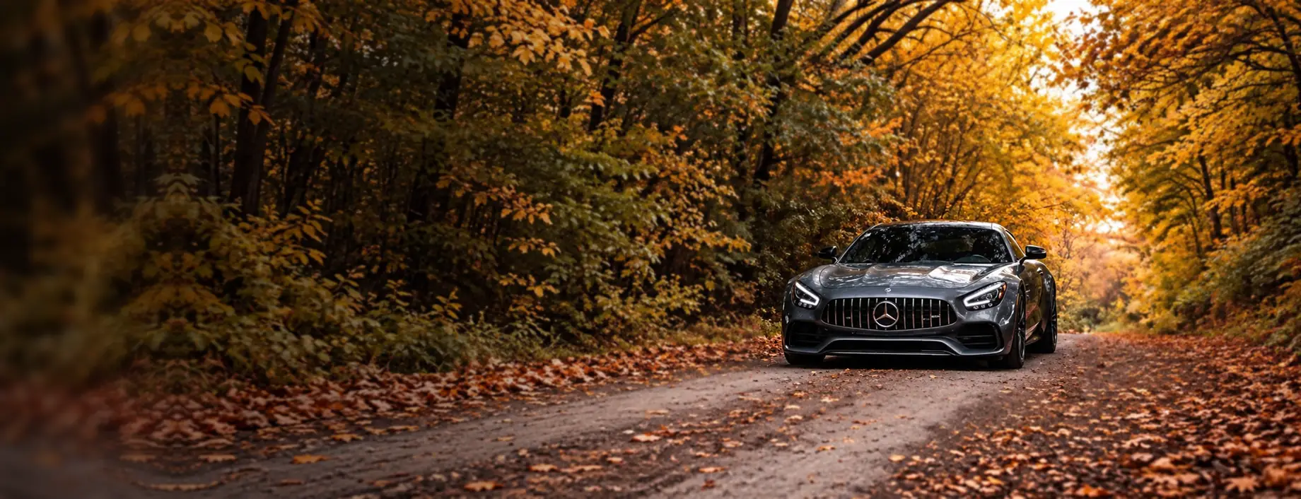 Mercedes-AMG GT pe un drum de toamnă – reduceri la Casa Auto Timișoara, Reprezentanță Autorizată Mercedes-Benz